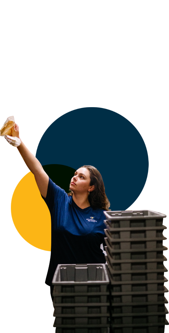 sydney picking dots eFulfillment Service Employee at Scanner Station Many Dots