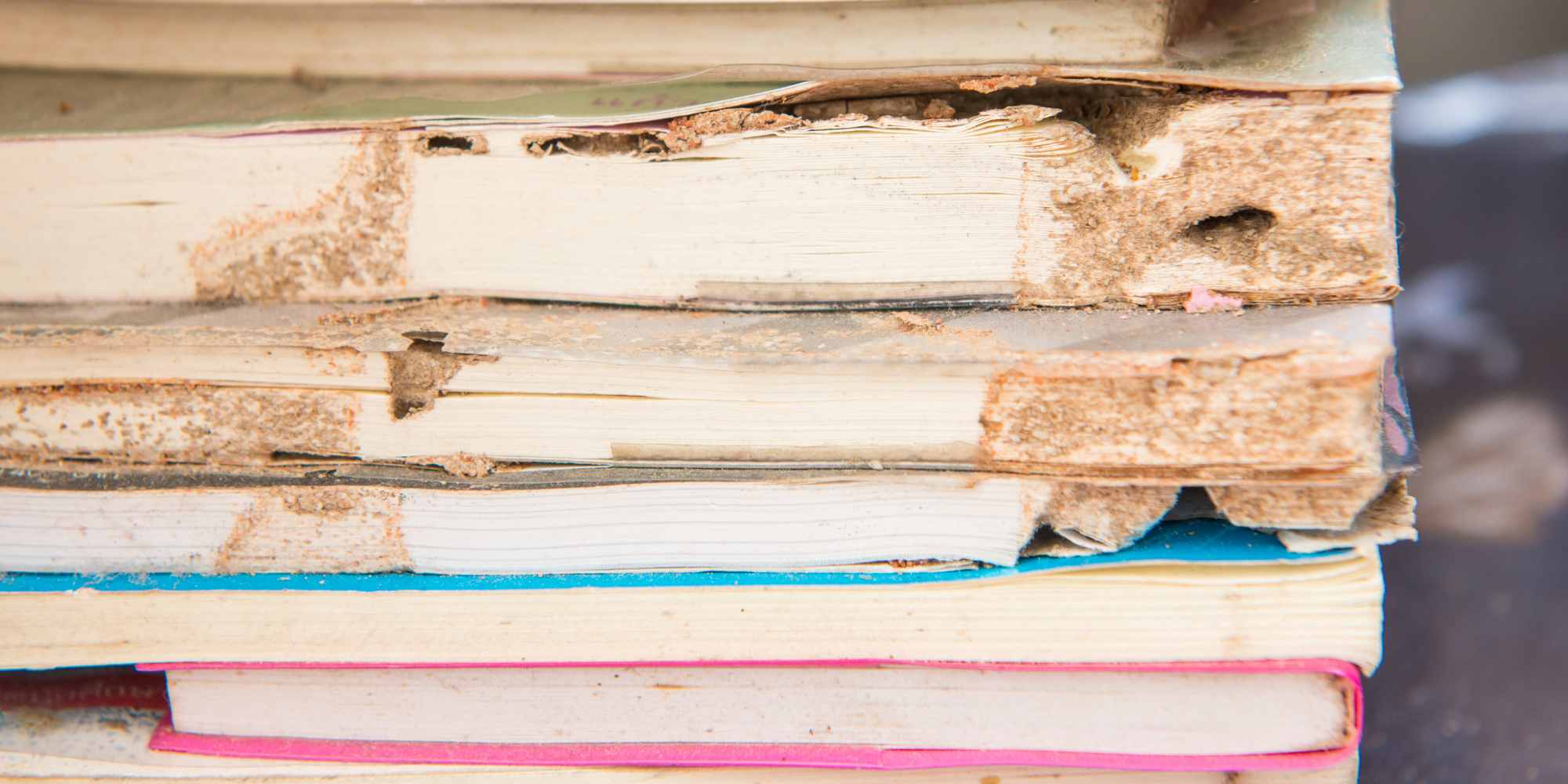 photo of a stack of damaged books