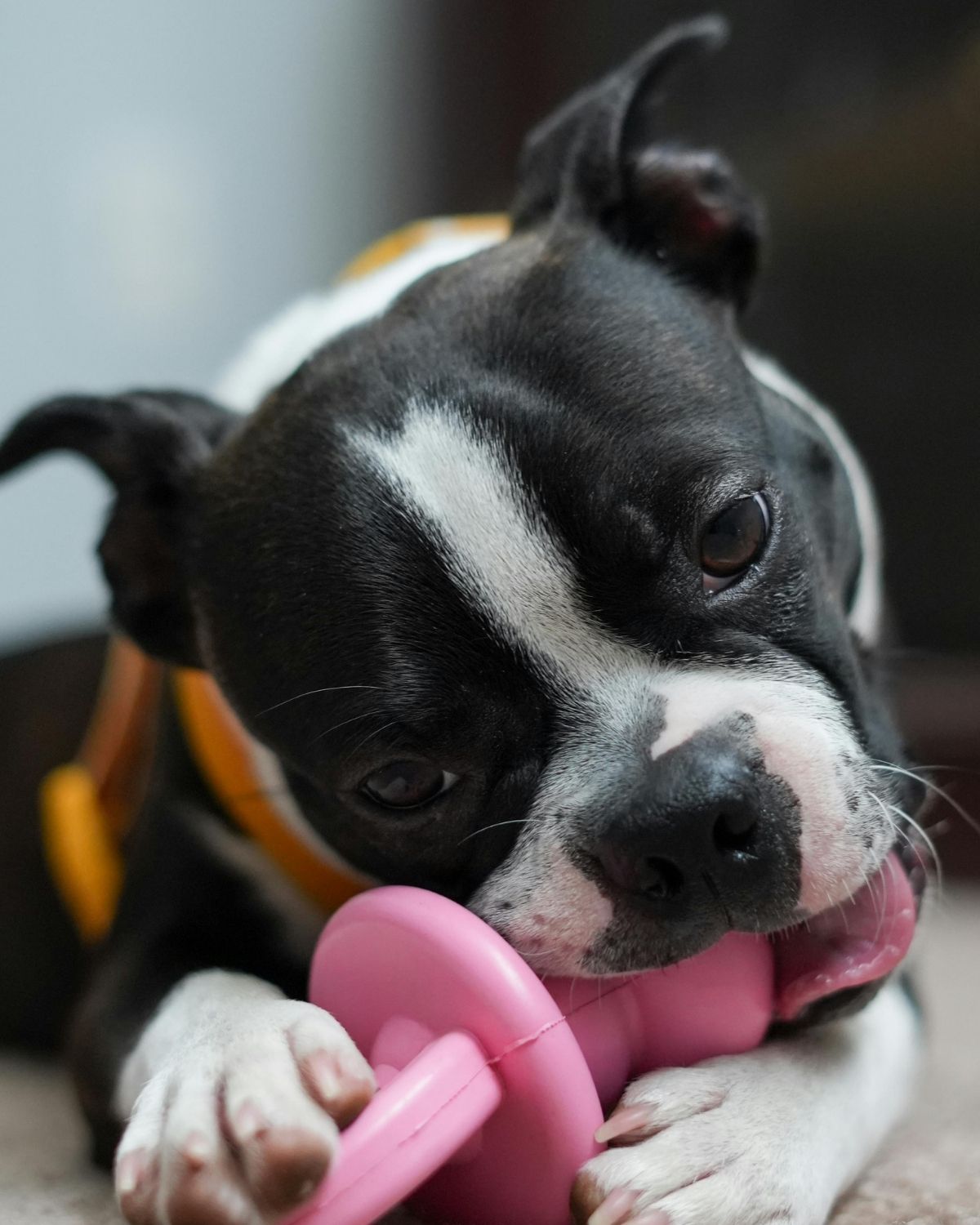 infographic of low shipping rates