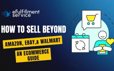 How to Sell Beyond Amazon, eBay & Walmart | An Ecommerce Guide