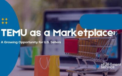 TEMU as a Marketplace: A Growing Opportunity for U.S. Sellers